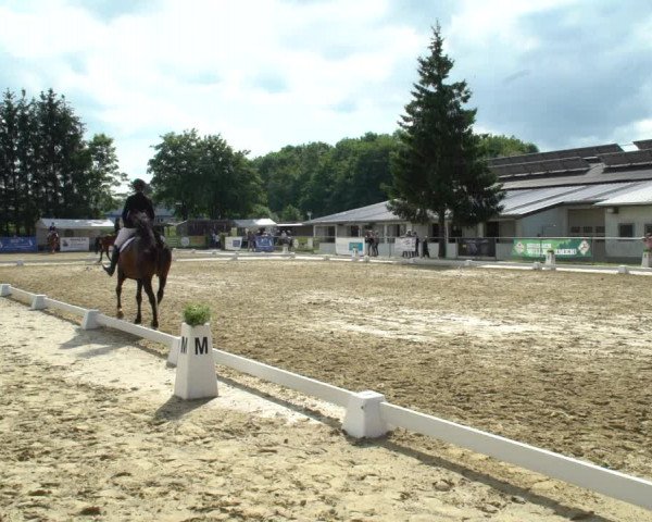 Reitturnier Bad Marienberg - OT Nisterau 2021