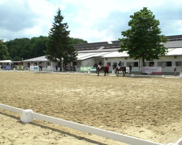 Reitturnier Bad Marienberg - OT Nisterau 2021
