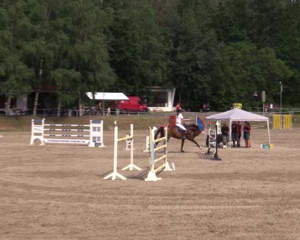 Reitturnier Lgl.-Oberhain, B95 2021