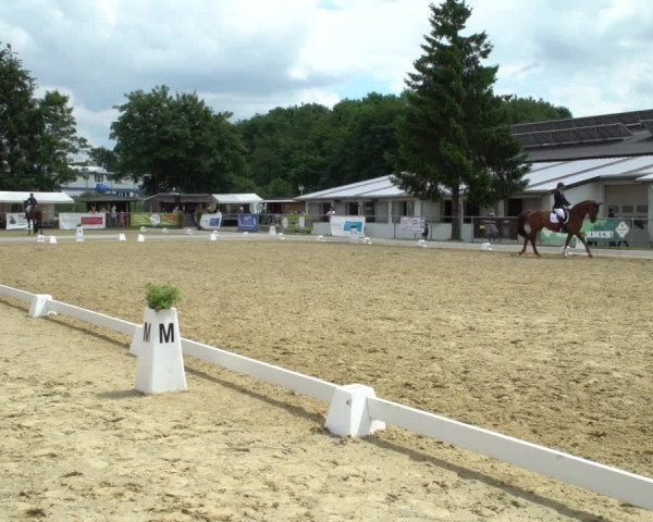 Reitturnier Bad Marienberg - OT Nisterau 2021