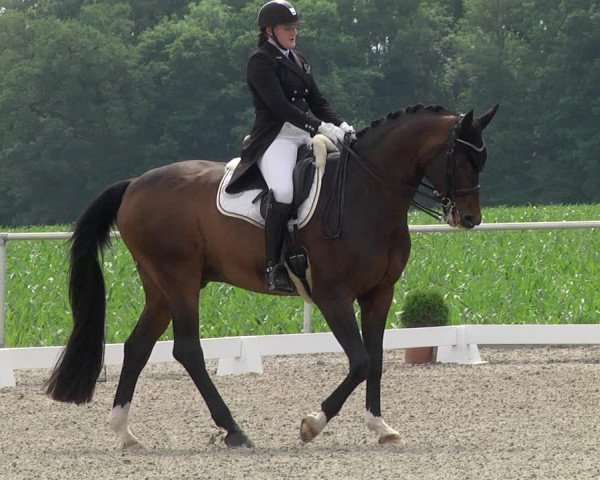 Reitturnier Jettingen 2021