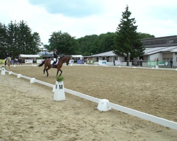 Reitturnier Bad Marienberg - OT Nisterau 2021