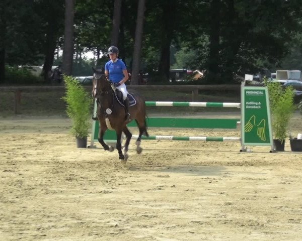 Reitturnier Rhede 2021