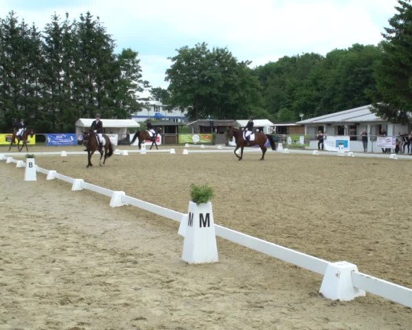 Reitturnier Bad Marienberg - OT Nisterau 2021