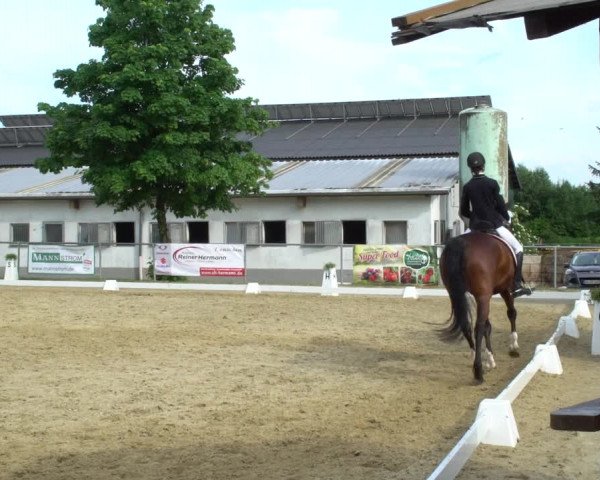 Reitturnier Bad Marienberg - OT Nisterau 2021