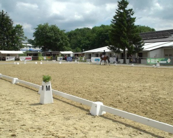 Reitturnier Bad Marienberg - OT Nisterau 2021