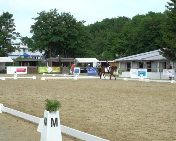Reitturnier Bad Marienberg - OT Nisterau 2021