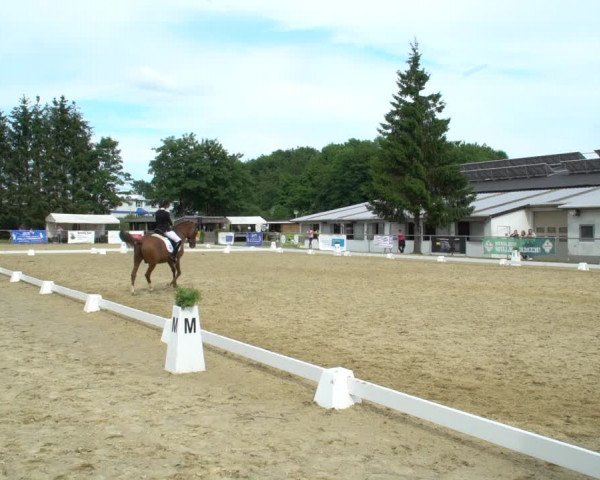 Reitturnier Bad Marienberg - OT Nisterau 2021