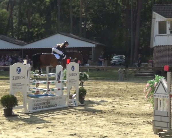 Reitturnier Rhede 2021