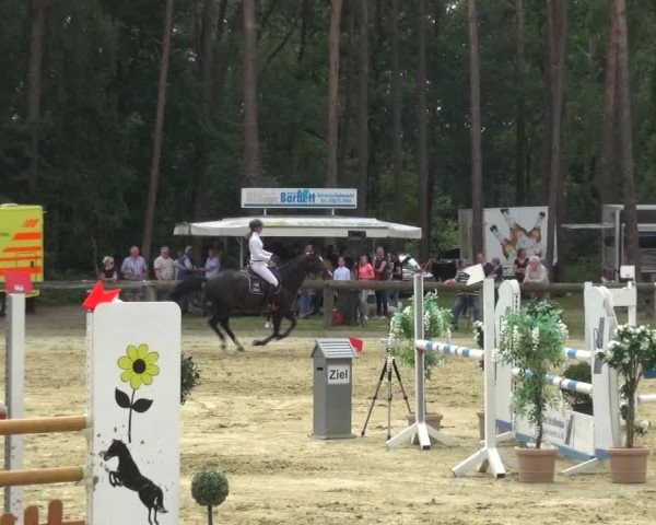 Reitturnier Rhede 2021