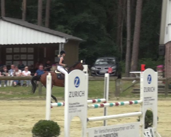 Reitturnier Rhede 2021