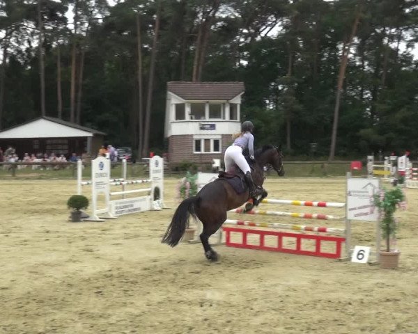Reitturnier Rhede 2021