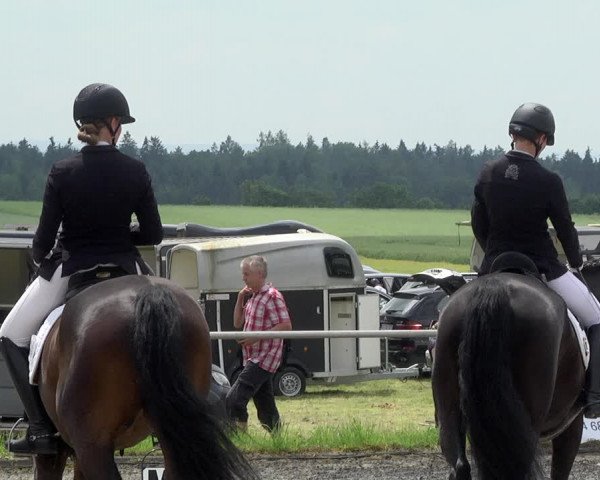Reitturnier Jettingen 2021