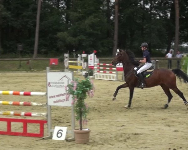 Reitturnier Rhede 2021