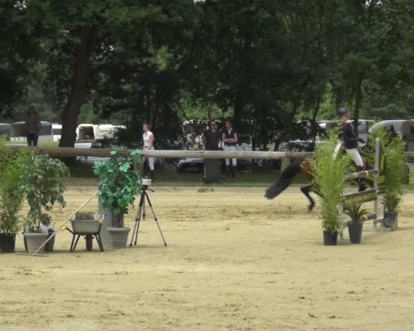 Reitturnier Rhede 2021