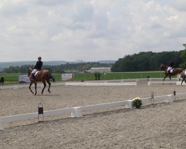Reitturnier Jettingen 2021