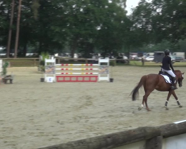 Reitturnier Rhede 2021