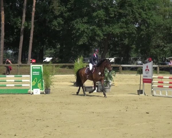 Reitturnier Rhede 2021