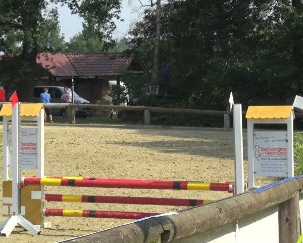 Reitturnier Rhede 2021