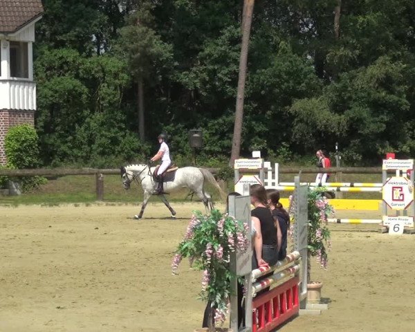 Reitturnier Rhede 2021