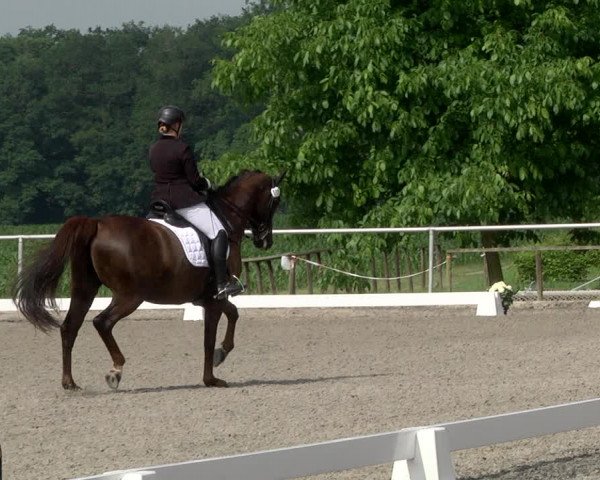 Reitturnier Jettingen 2021