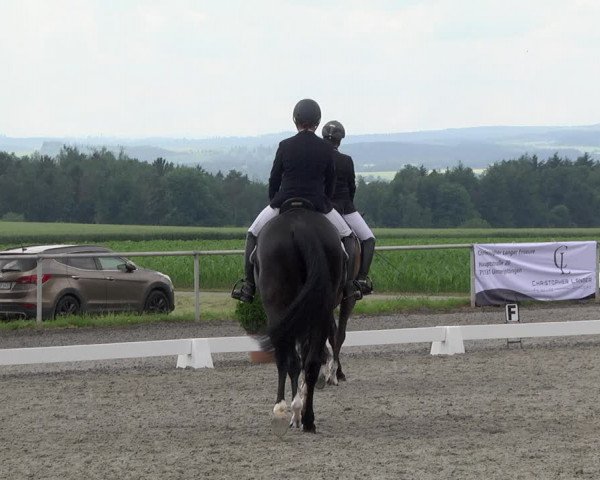 Reitturnier Jettingen 2021