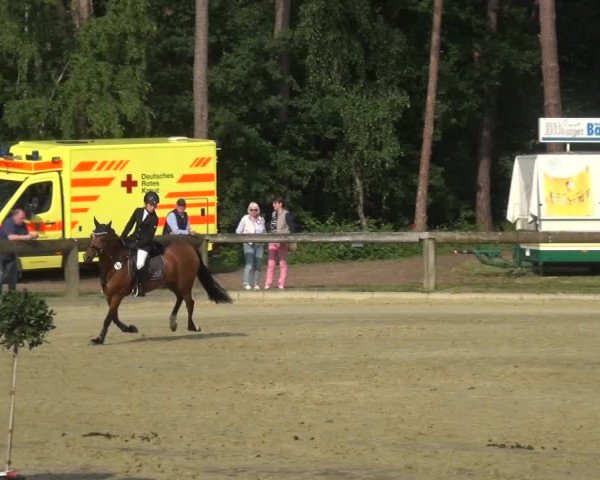 Reitturnier Rhede 2021