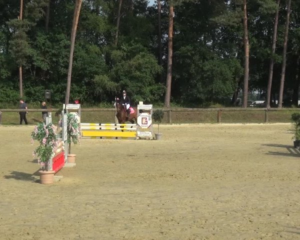 Reitturnier Rhede 2021
