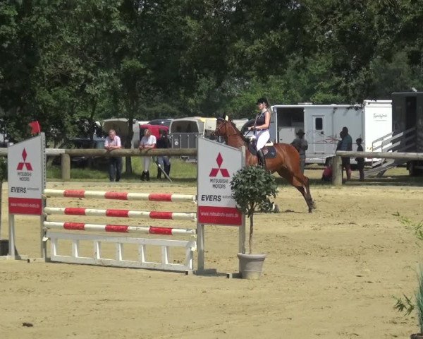 Reitturnier Rhede 2021