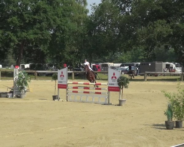 Reitturnier Rhede 2021