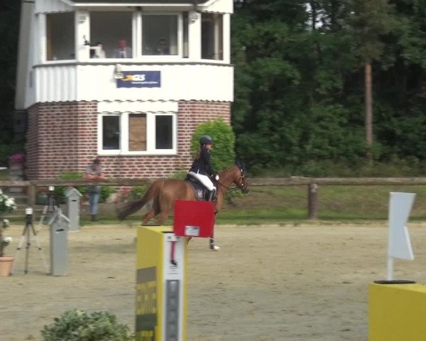 Reitturnier Rhede 2021