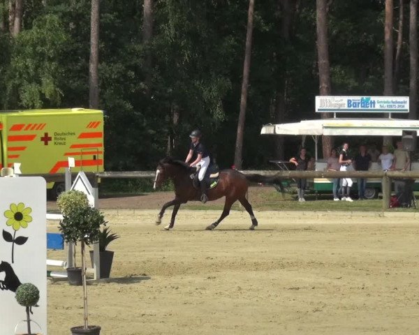Reitturnier Rhede 2021