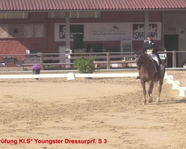 Reitturnier Uder, Reitanlage Kobold 2021