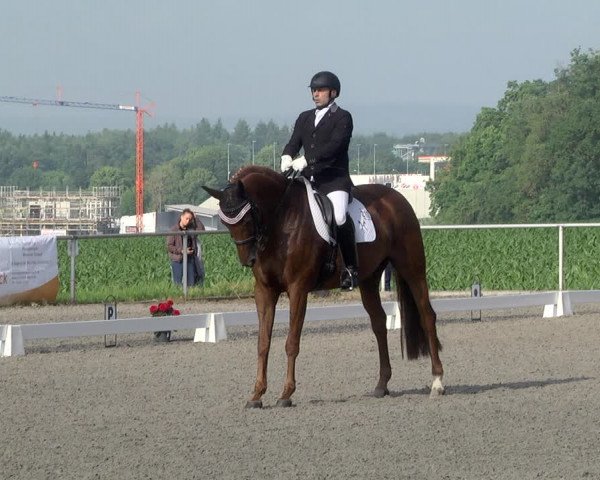 Reitturnier Jettingen 2021