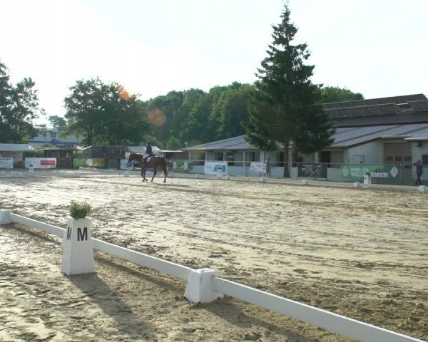 Reitturnier Bad Marienberg - OT Nisterau 2021
