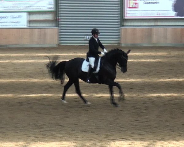 Reitturnier Rhede 2021