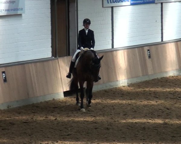 Reitturnier Rhede 2021