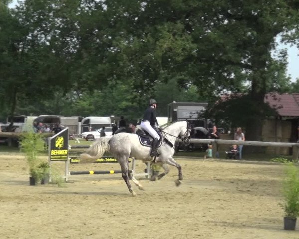 Reitturnier Rhede 2021