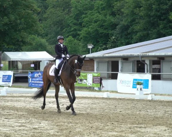 Reitturnier Bad Marienberg - OT Nisterau 2021