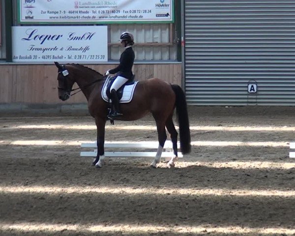 Reitturnier Rhede 2021