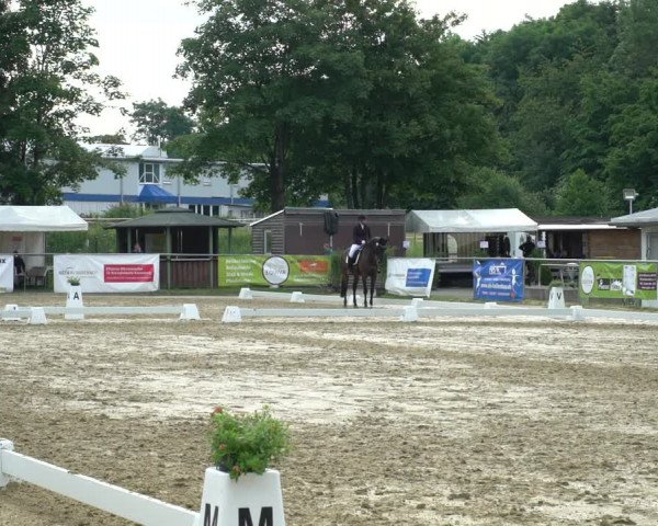 Reitturnier Bad Marienberg - OT Nisterau 2021