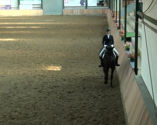 Reitturnier Rhede 2021