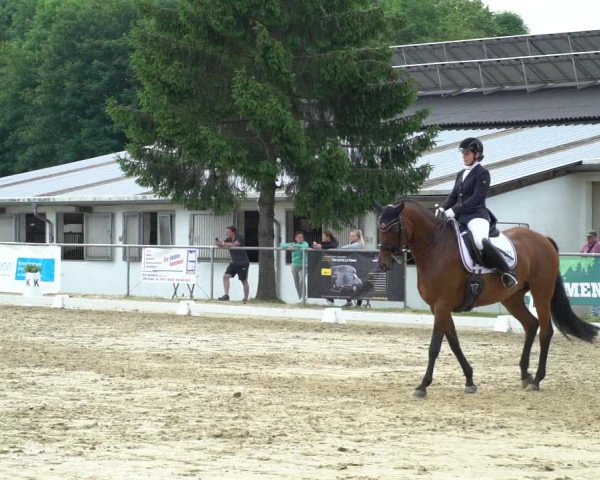 Reitturnier Bad Marienberg - OT Nisterau 2021