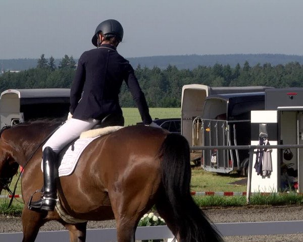 Reitturnier Jettingen 2021