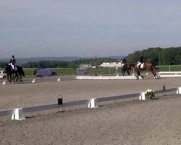 Reitturnier Jettingen 2021