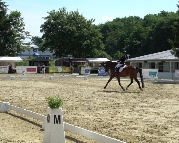 Reitturnier Bad Marienberg - OT Nisterau 2021