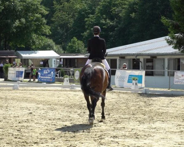 Reitturnier Bad Marienberg - OT Nisterau 2021