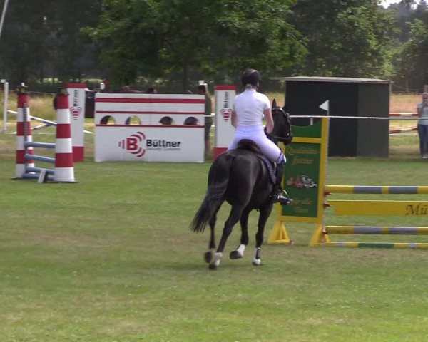 Reitturnier Kellinghusen 2021