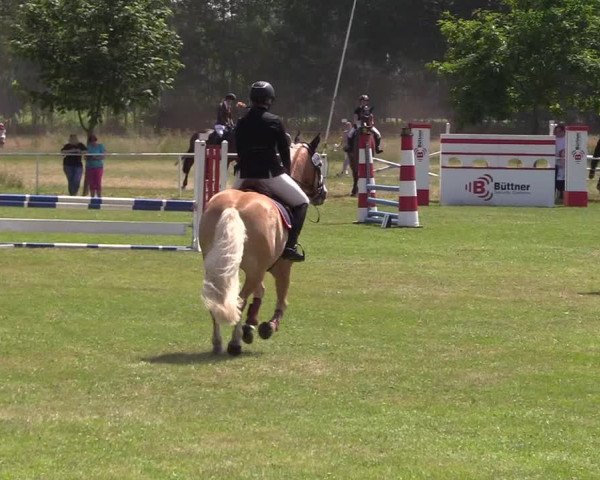 Reitturnier Kellinghusen 2021