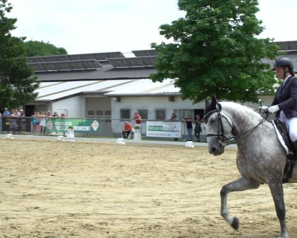 Reitturnier Bad Marienberg - OT Nisterau 2021